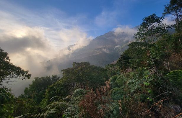 Full Day Private Sierra Nevada Tour with Transport