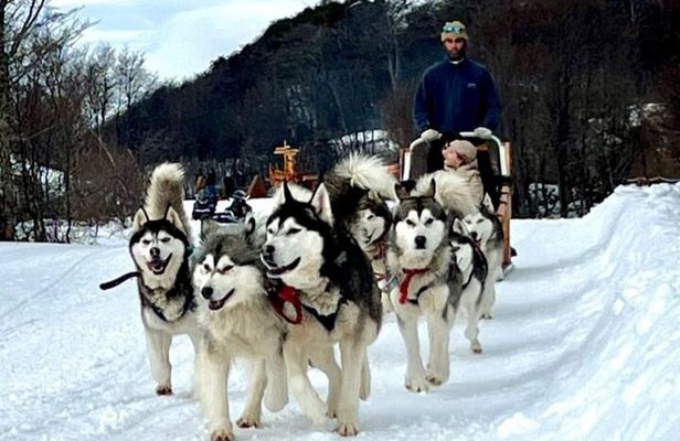 White Adventure with Sledge Ride and Snowmobile