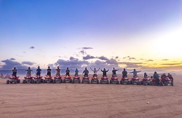 Experience Quad, Camel Riding and Dinner Show in Agafay