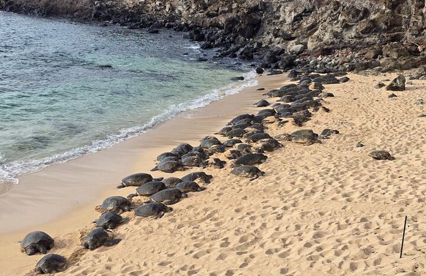 Private Road to Hana Tour with Pickup