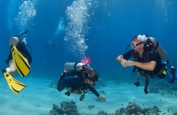 Marmaris Scuba Diving with Two Dives, Transfer and Lunch