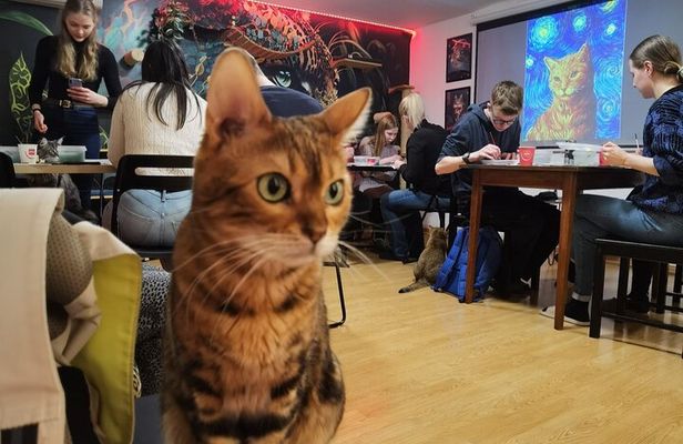 Acrylic Painting Workshop with Cats in Budapest