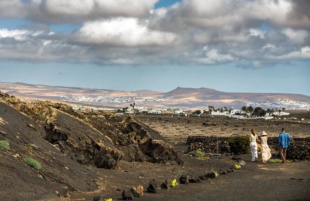 Wine Lovers Winery Tour in Lanzarote