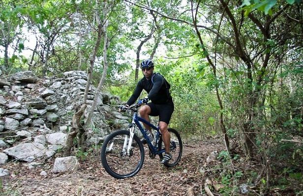 Mountain Bike Jungle Tour and Cenote
