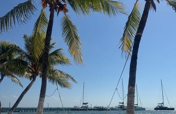 Isla Mujeres Plus Tour with Snorkeling Buffet and Open Bar