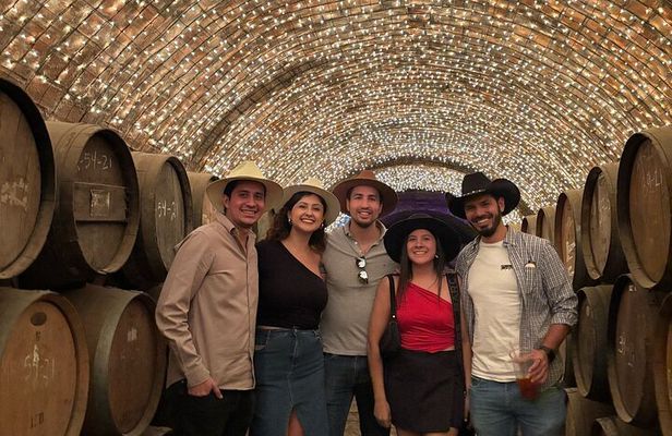 Guided Full Day Tour to Tequila and Cantaritos el Guero