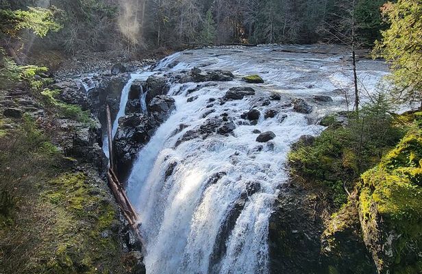 Nanaimo: Cathedral Grove, Waterfalls and Animal Sanctuary