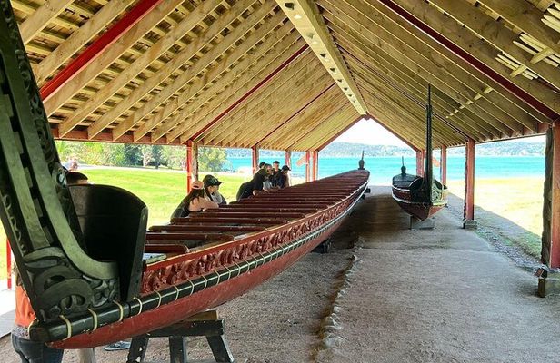 Auckland to Paihia via West Coast Small Group Tour (One Way)