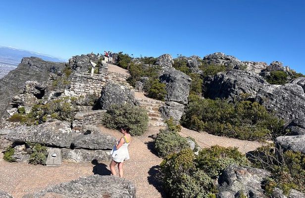 Cape Town Table Mountain Tour with Tickets & Hotel Transfers