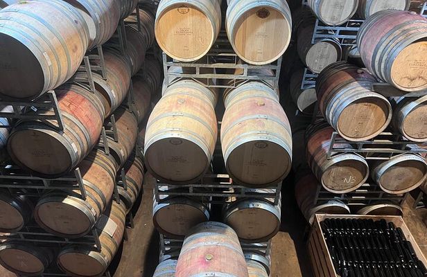 Luxury Private Wine Tour: Stellenbosch & Franschhoek