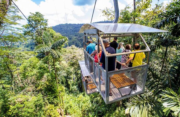 Sky Gondola and Trails at Veragua Rainforest