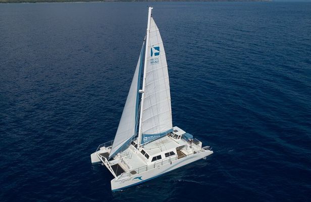 Experience Shared Snorkel and Sunset Sail in Maui