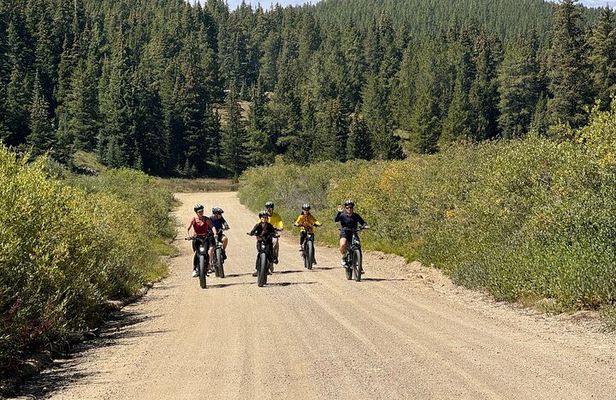 Ride Easy with e-Bike Rentals in Leadville