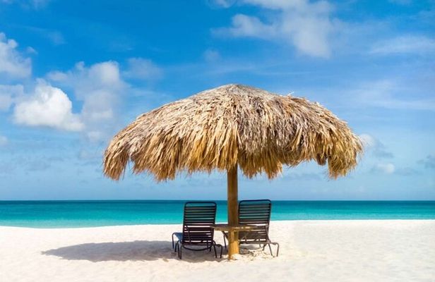  Aruba Private Tour with SeaFood/Caribbean Food Included
