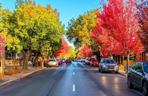 Charms of Hahndorf and Hills Full-day Tour