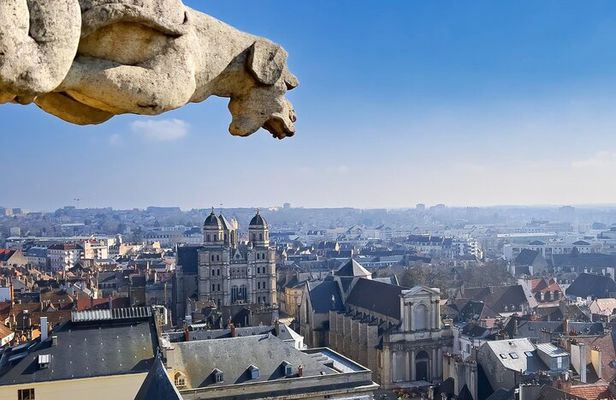 Best Intro to Dijon in 2 hours with a Local