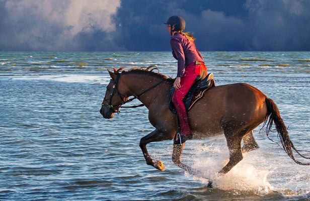 Casablanca Sunset Fun Horseback Ride on the Beach