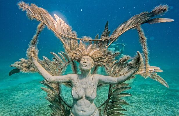 Sculpture Snorkeling Adventure