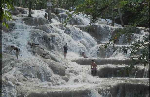 Dunns River Falls and Zipline Adventure from Kingston