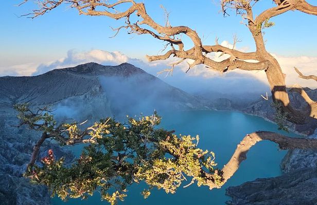 4 Days Tour From Yogya Tumpaksewu Bromo Ijen