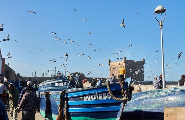 Essaouira Day Trip from Marrakech