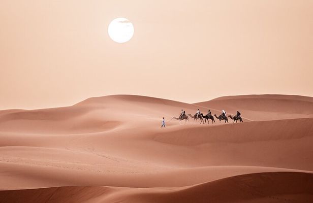 Sahara Desert Trip from Fez to Marrakech 3 Days 2 Nights