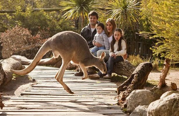 Explore Temaiken: Biopark Tour Experience