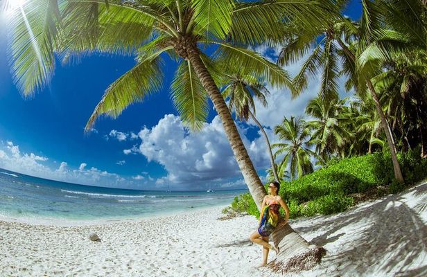 PRIVATE VIP tour Saona Island with Snorkeling, Starfish, Turtles