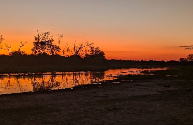 Maun Ngamiland 4-Day Guided Tour