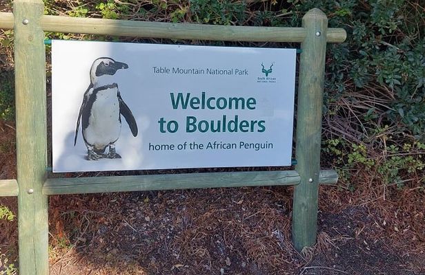 PRIVATE TOUR: Botanical Garden, Muizenberg Beach and Penguins