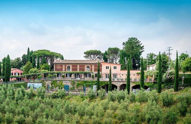 Wine trekking through the vineyards and wine tasting on the hills of Lucca