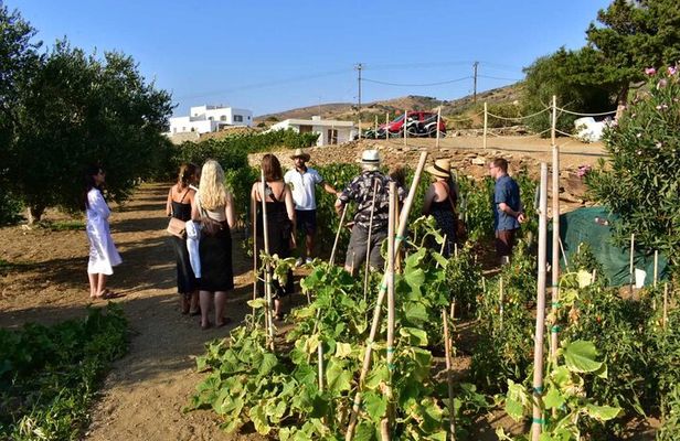 Naxos: Private Wine Three and Half-Hour Experience