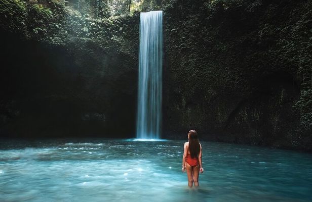 Ubud Private Tour to Iconic Waterfalls Rice Terrace and Temple