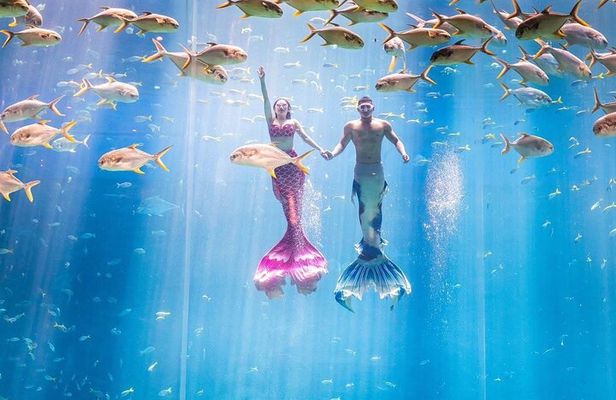 VinWonders & Vinpearl Safari Phu Quoc Island Private Tour