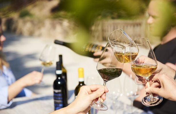 Discover the Euganean Hills Wine and Traditional Flavors