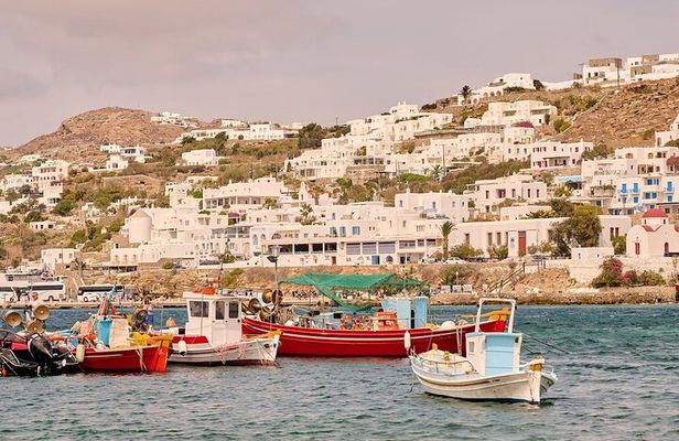 4 Hours Mykonos Tour Local Edition