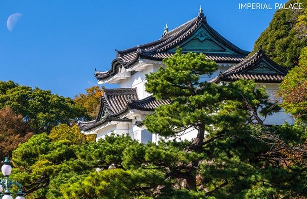 Anywhere you like! Tokyo Customized Tour in 3 hours