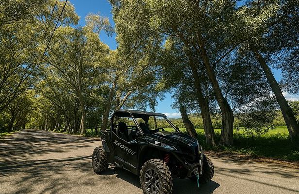 Buggy Safari From Georgioupolis Area