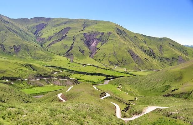 Excursion to Cachi and Los Cardones National Park