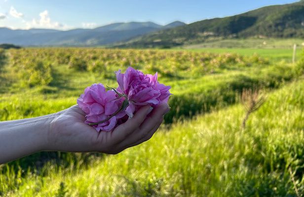 From Sofia: Rose Valley, Shipka & Buzludzha Small Group Day Tour