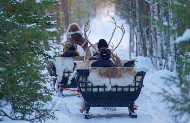 Reindeer Safari at a 200-Year-Old Rovaniemi Farm & Long Sled Ride