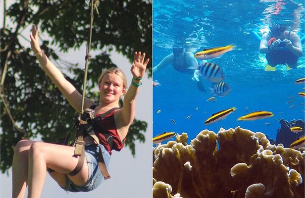 Roatan Zipline And Snorkel Adventure