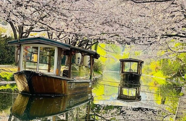 Kyoto highlights tour with English speaking guide and vehicle