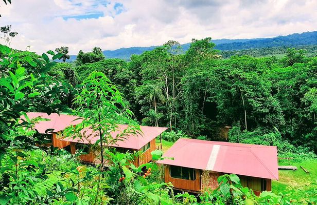 Manu jungle tours from Cusco (2 days).