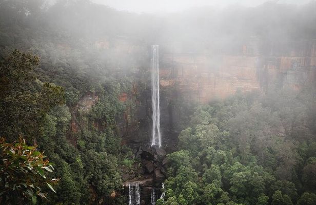 From Sydney Private Tour of Waterfalls Wineries and Wildlife