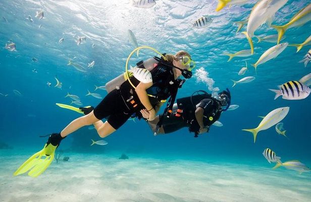 Diving Tour from Antalya or Kemer with Lunch