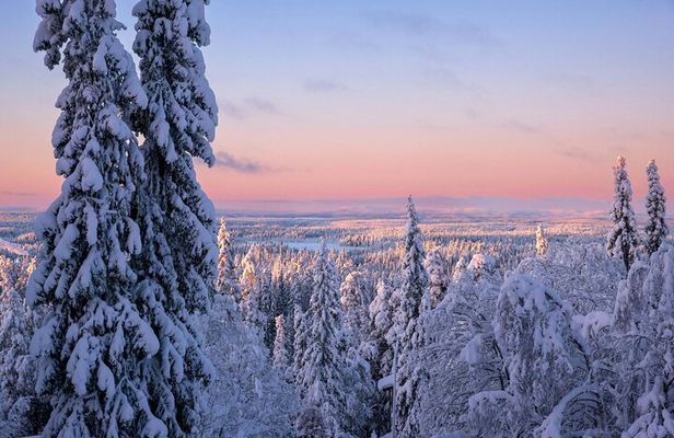 Levi Scenic Tour Reindeer Encounter and Snowshoe Adventure