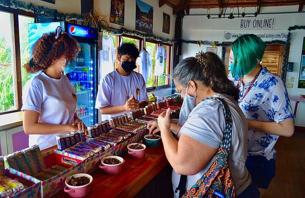 Private Island Tour Adventure with Sloths, Chocolate and Crafts