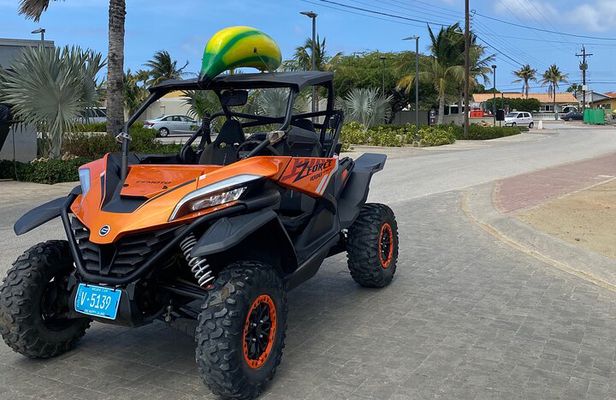 Action-Packed Half Day Aruba UTV Tour and Cave Pool