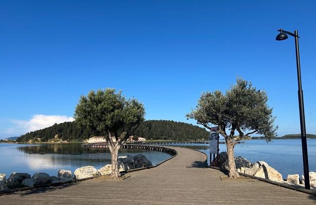 From Vlora : Apollonia Zvernec and Berat Day Trip Experience